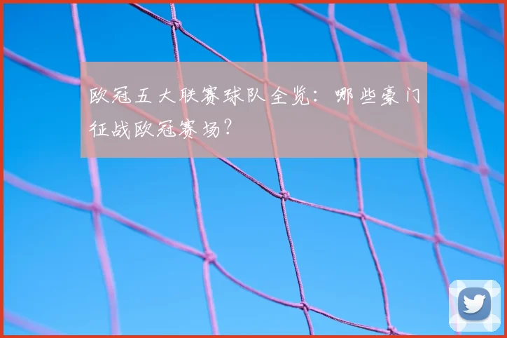 欧冠五大联赛球队全览：哪些豪门征战欧冠赛场？