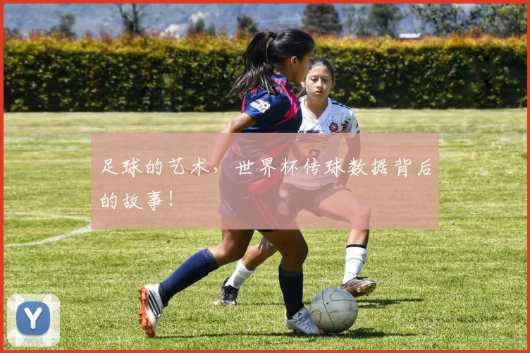 足球的艺术，世界杯传球数据背后的故事！