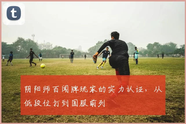 阴阳师百闻牌玩家的实力认证，从低段位打到国服前列