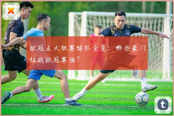 欧冠五大联赛球队全览：哪些豪门征战欧冠赛场？